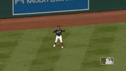 Major League Baseball Sport GIF by MLB