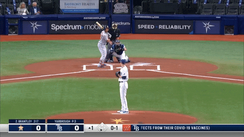 estee42 giphyupload GIF