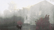 Art Raining GIF