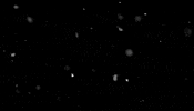Film Tuning GIF by Club do Auto