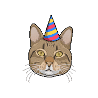 Tabby Cat Harry Sticker by The Mysterious Bookcase