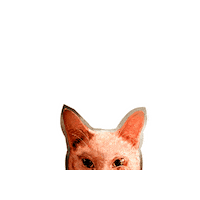 adrianailustra art cat kitty arte Sticker