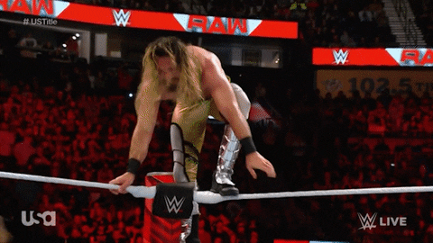 Sport Wwe GIF by USA Network