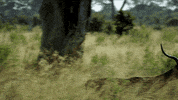 nat geo wild leap GIF by Savage Kingdom