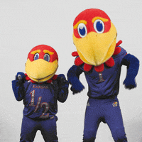 Awesome Great Job GIF by University of Kansas