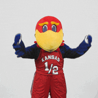 Shocked See No Evil GIF by University of Kansas