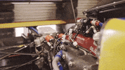 Sport Racing GIF by W Series