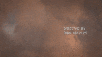 Dave Meyers GIF by P!NK