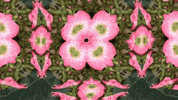 Art Color GIF by jorgemariozuleta