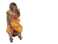 Fun Monkey Sticker