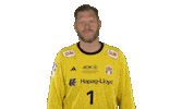 Handball-Bundesliga Handball Sticker by LIQUI MOLY HBL