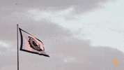 West Virginia Mountaineers GIF by WVU Sports