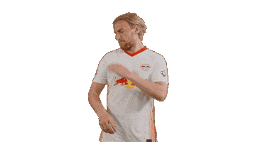 No Problem Win Sticker by RB Leipzig