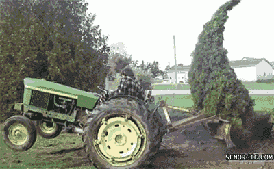 josseblase99ea giphyupload GIF