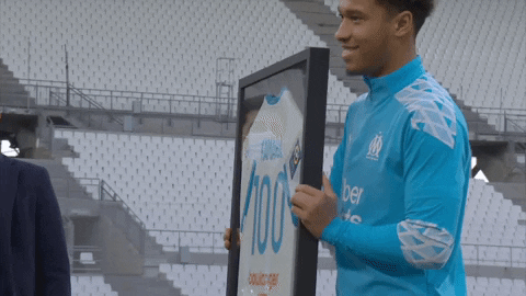 Football Soccer GIF by Ligue 1