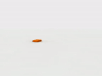 season 8 GIF by SpongeBob SquarePants