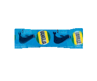 ice icecream Sticker by Migros