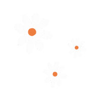 Flowers Daisy Sticker