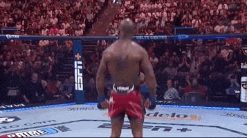 Mixed Martial Arts Sport GIF by UFC