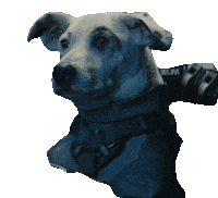 Video Game Dog Sticker by The Chemical Brothers