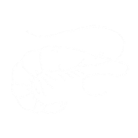 Shrimp Sticker by Hamnmagasinet