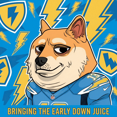 Shiba Inu Football GIF by Doge Pound