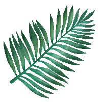 Plant Waves Sticker by Trakto