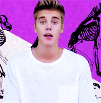 justin bieber GIF