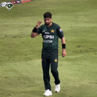 Cristiano Ronaldo India GIF