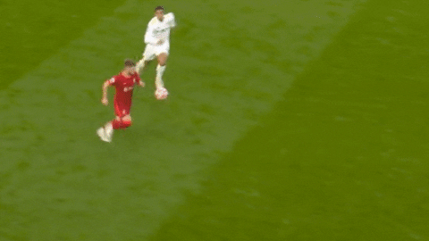 Lowton_red giphyupload GIF