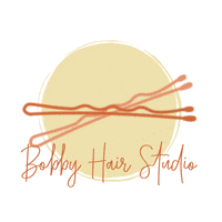 BobbyHairStudio bobby hairdresser hairstylist hairpin GIF