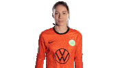 Sport Soccer Sticker by VfL Wolfsburg