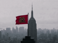 Bear Flag GIF by Bear Market Memes