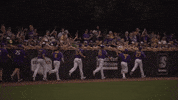 East Carolina Ncaa GIF by ECU Athletics