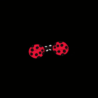 KatSet love animation heart kiss GIF