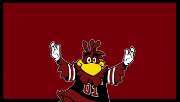 Happy Celebration GIF by University of South Carolina
