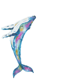 Ocean Swimming Sticker