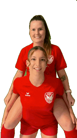 Kapfenberg Sticker by KSV1919