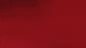 Proud France GIF by Bundesliga