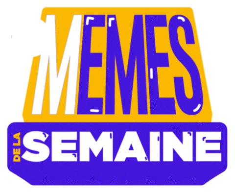 Memes De La Semaine GIF by Topito