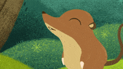 #puffinrock #puffin #rock #mossy #pygmy #shrew #food #hungry GIF by Puffin Rock