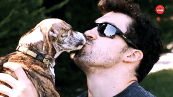 Dogs Kiss Their Humans In Slow Motion