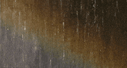 rain GIF