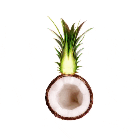 Tropical Fruit Summer GIF