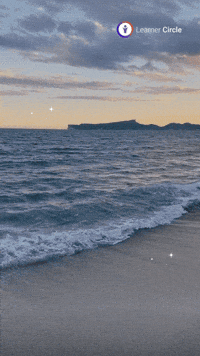 GIF by Learner Circle