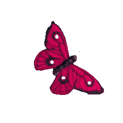 Spring Sticker by Amanda Batista