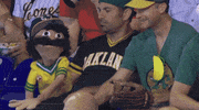 mlb half GIF by FOX Sports: Watch. Enjoy. Repeat.