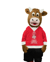 World Cup Goal Sticker by 2020 IIHF Ice Hockey World Championship Switzerland