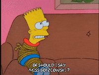 Season 1 Episode 13 GIF by The Simpsons
