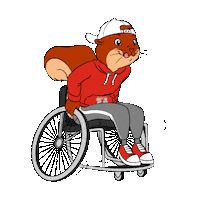 Sport Ride Sticker by Brasschaat